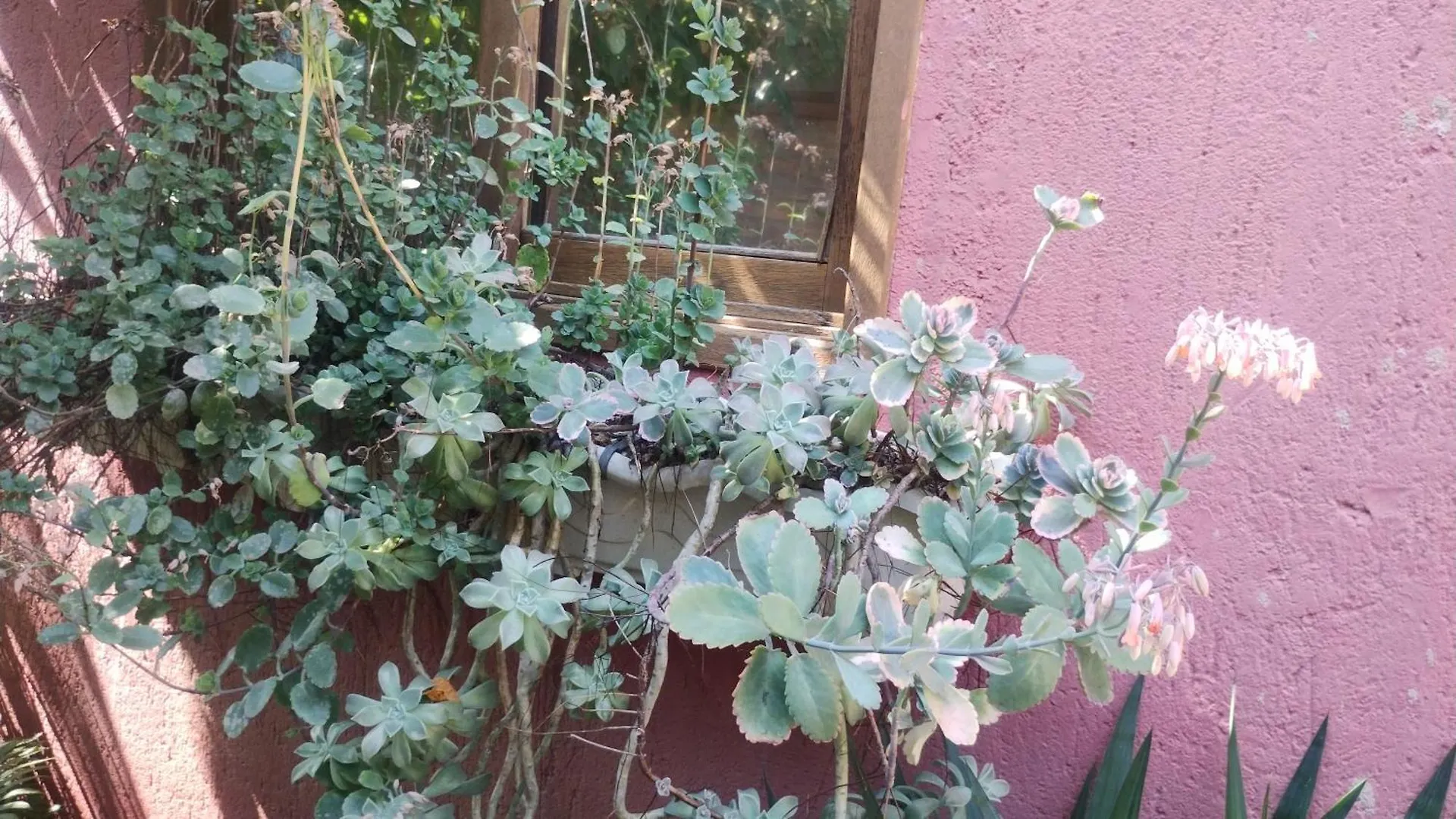 הוילה Florianópolis Casa Na Ilha Da Magia