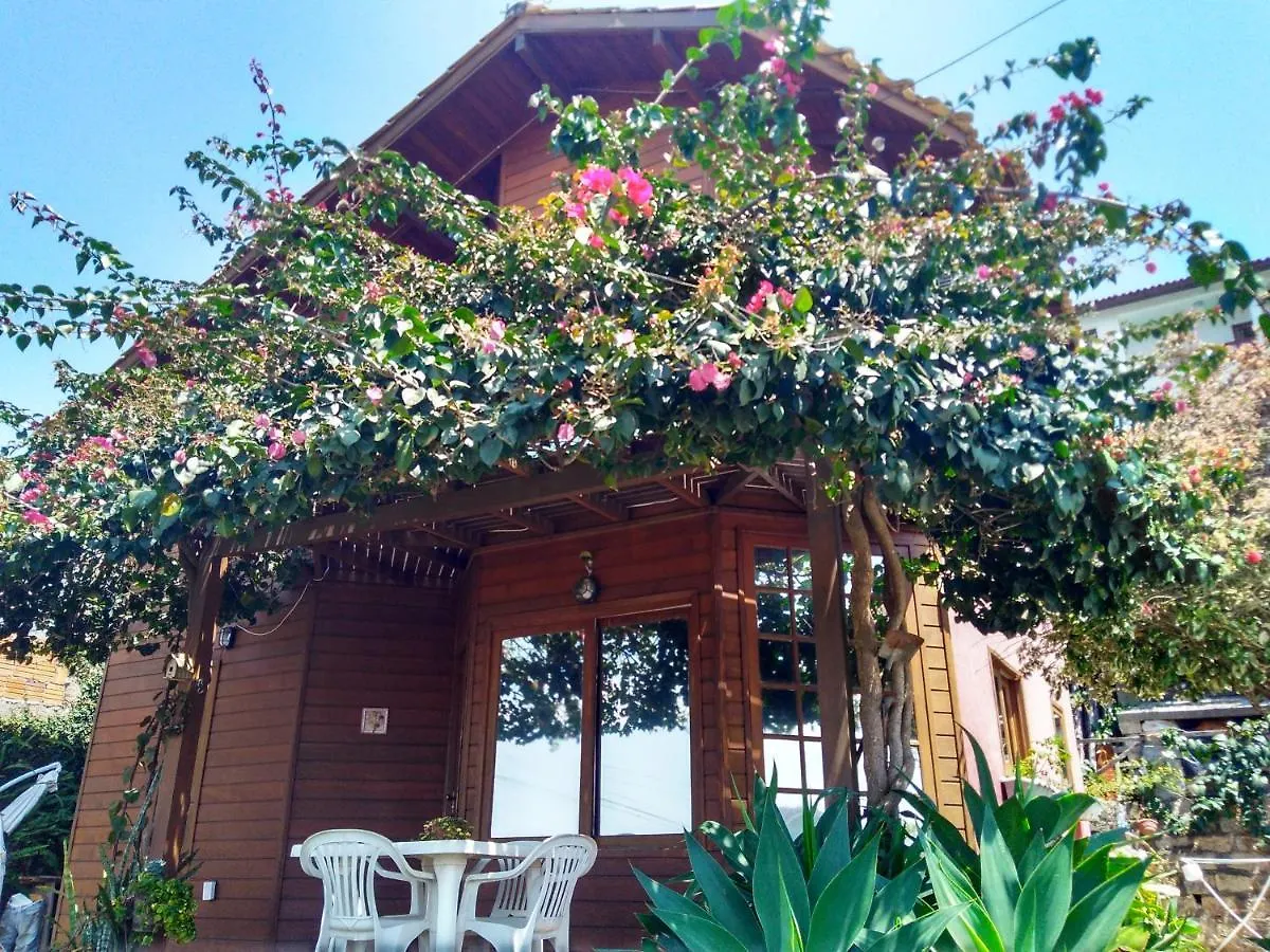 Casa de Férias Casa Na Ilha Da Magia Vila Florianópolis Brasil