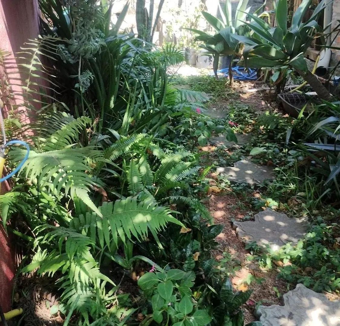 Vila Casa Na Ilha Da Magia Florianópolis Prázdninový dům